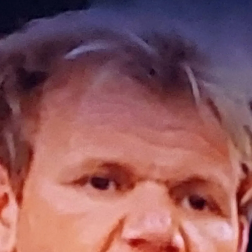 chat with ai character: Gordon Ramsey