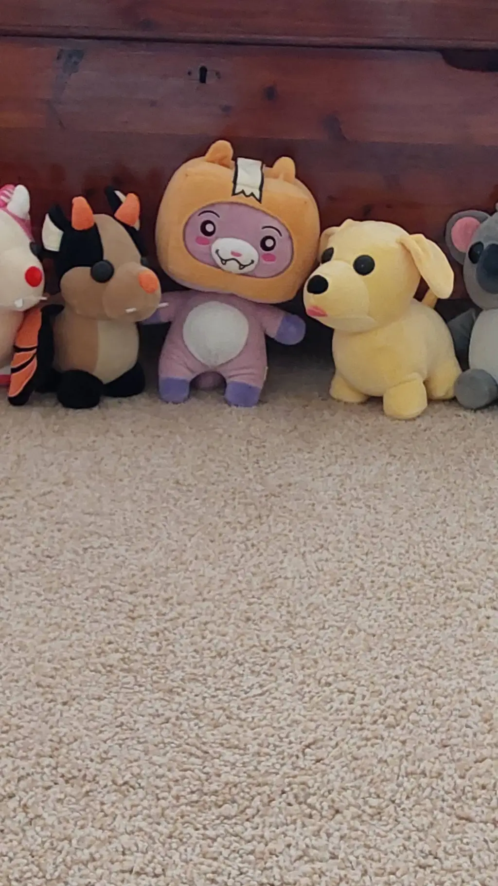 ai character: Lankyboxx background