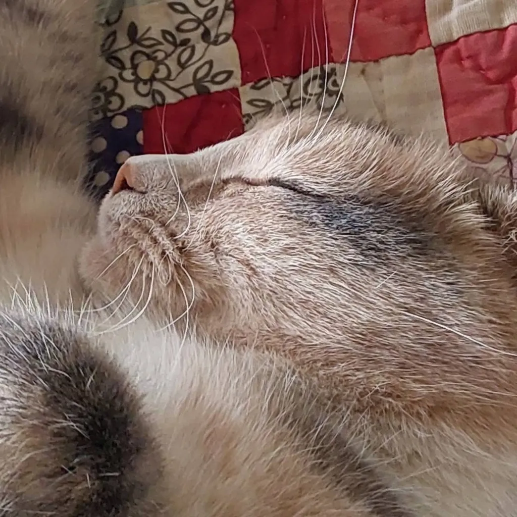 chat with ai character: Super Mario Movie 