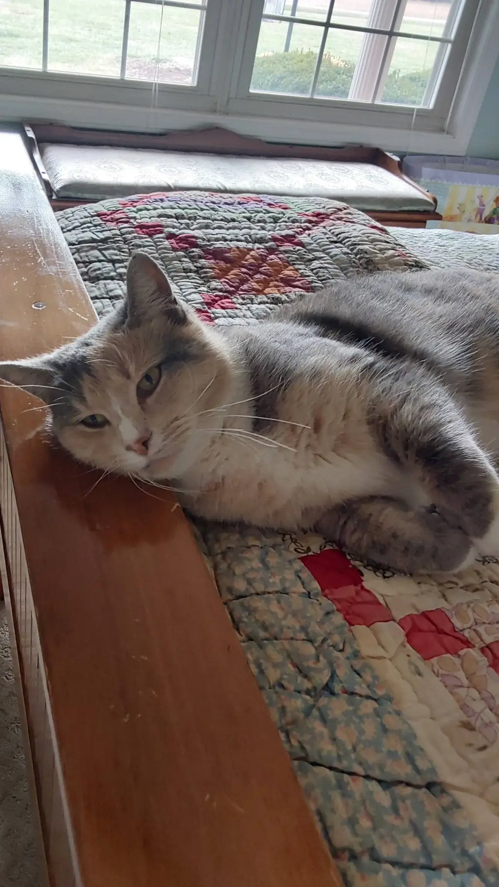 ai character: Wizards Of Waverly background