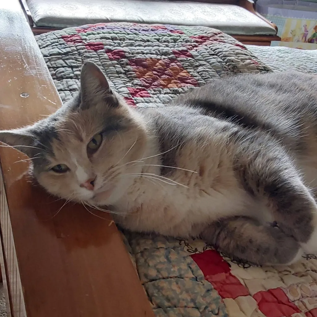 chat with ai character: Wizards Of Waverly