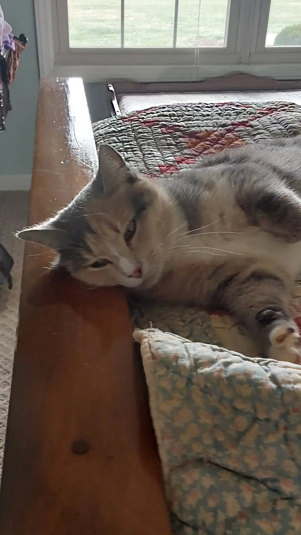 ai character: BUNK'D background