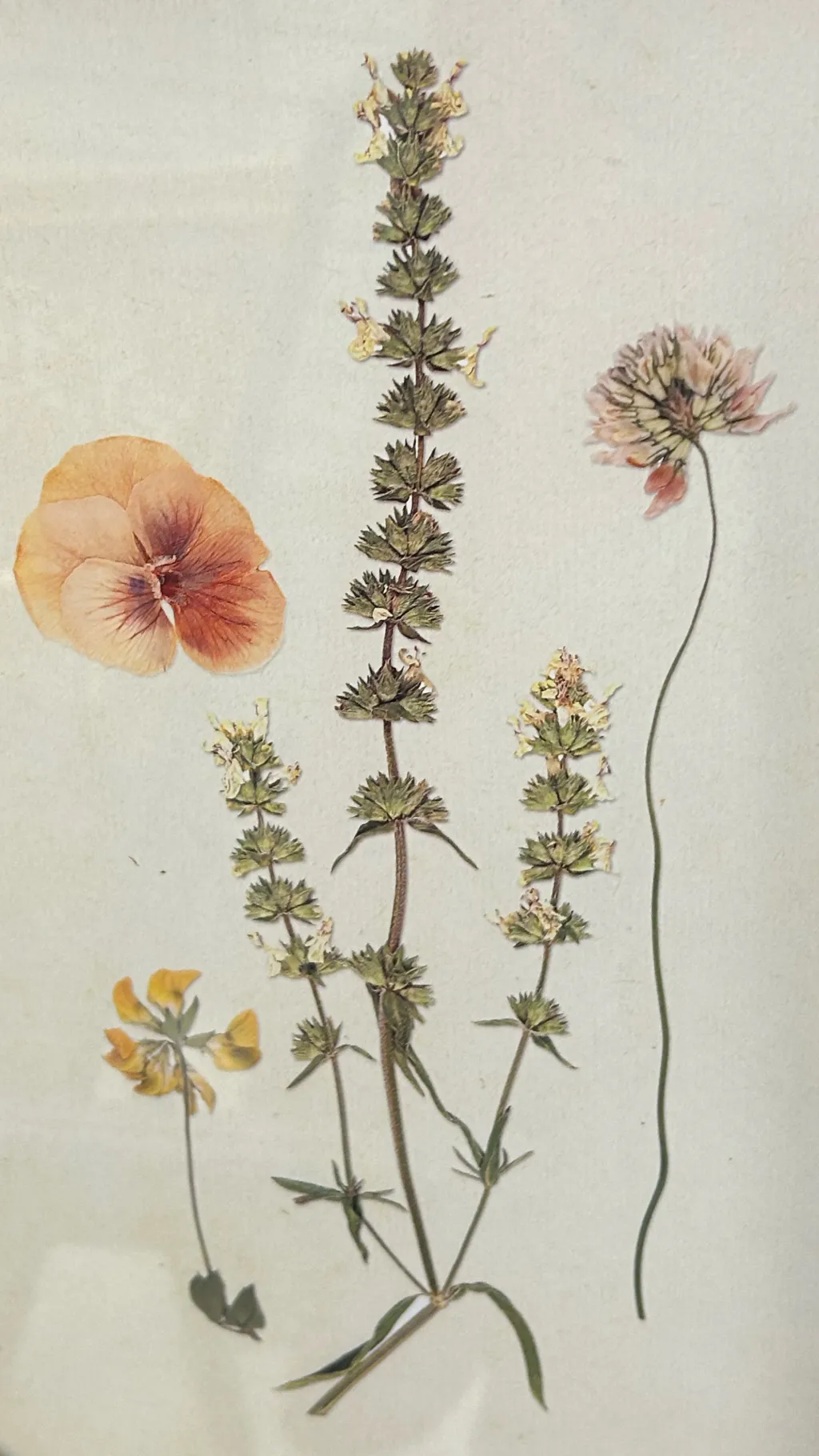 ai character: Hello  background