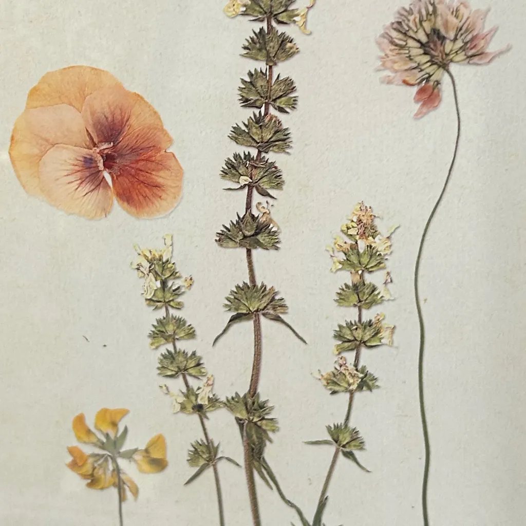 chat with ai character: Hello 