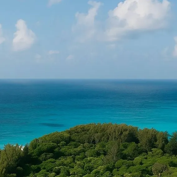 chat with ai character: Stranded! 🏝️