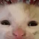 chat with ai character: >Oliver<