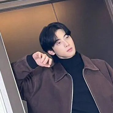 chat with ai character: Cha Eunwoo