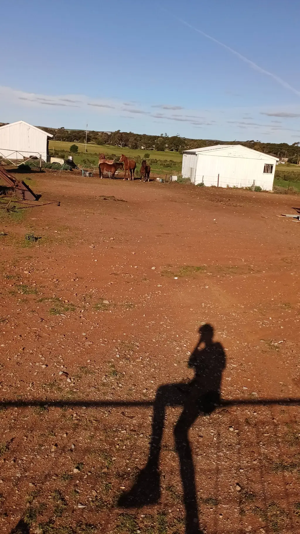 ai character: Forsaken Creep background