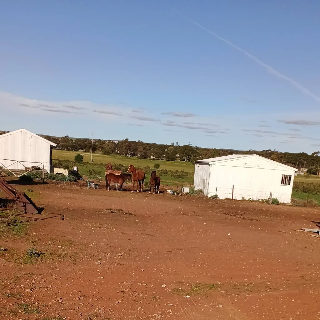 chat with ai character: Forsaken Creep