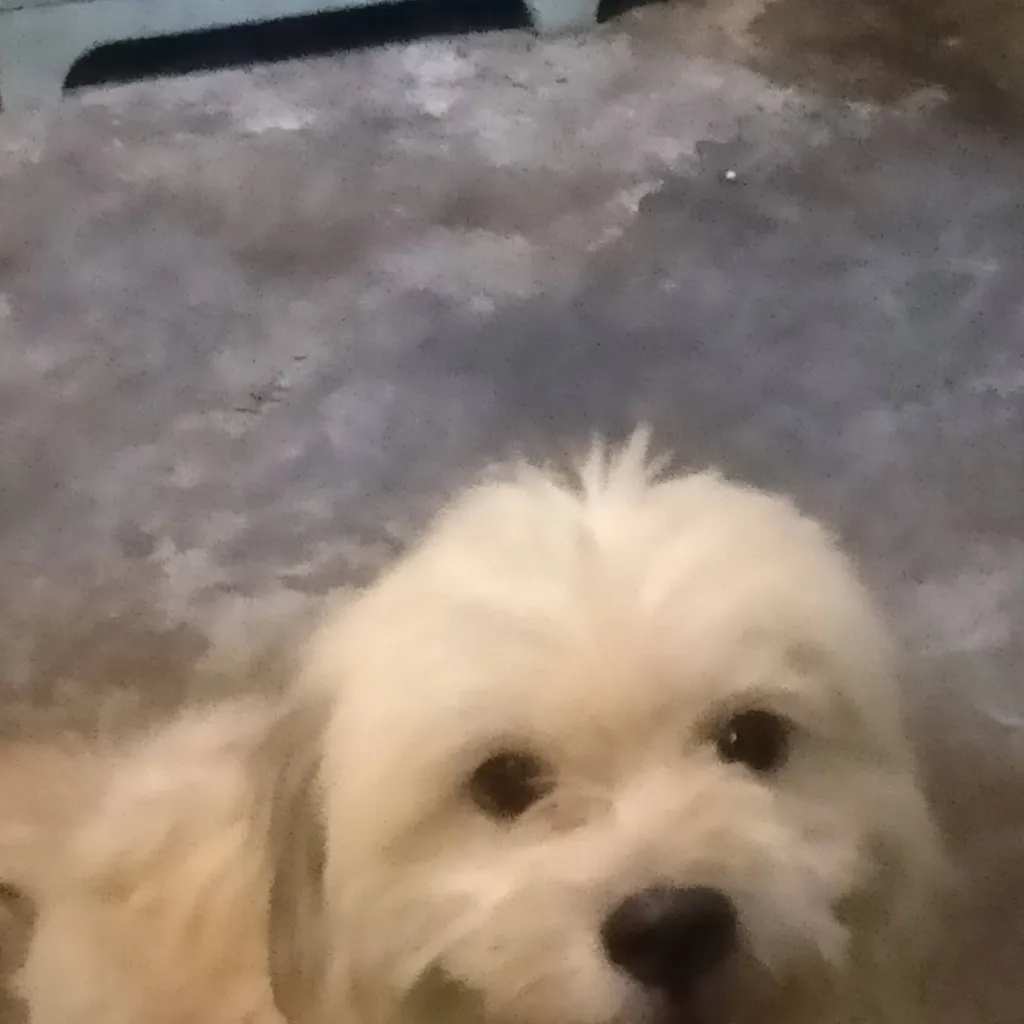 chat with ai character: hapi