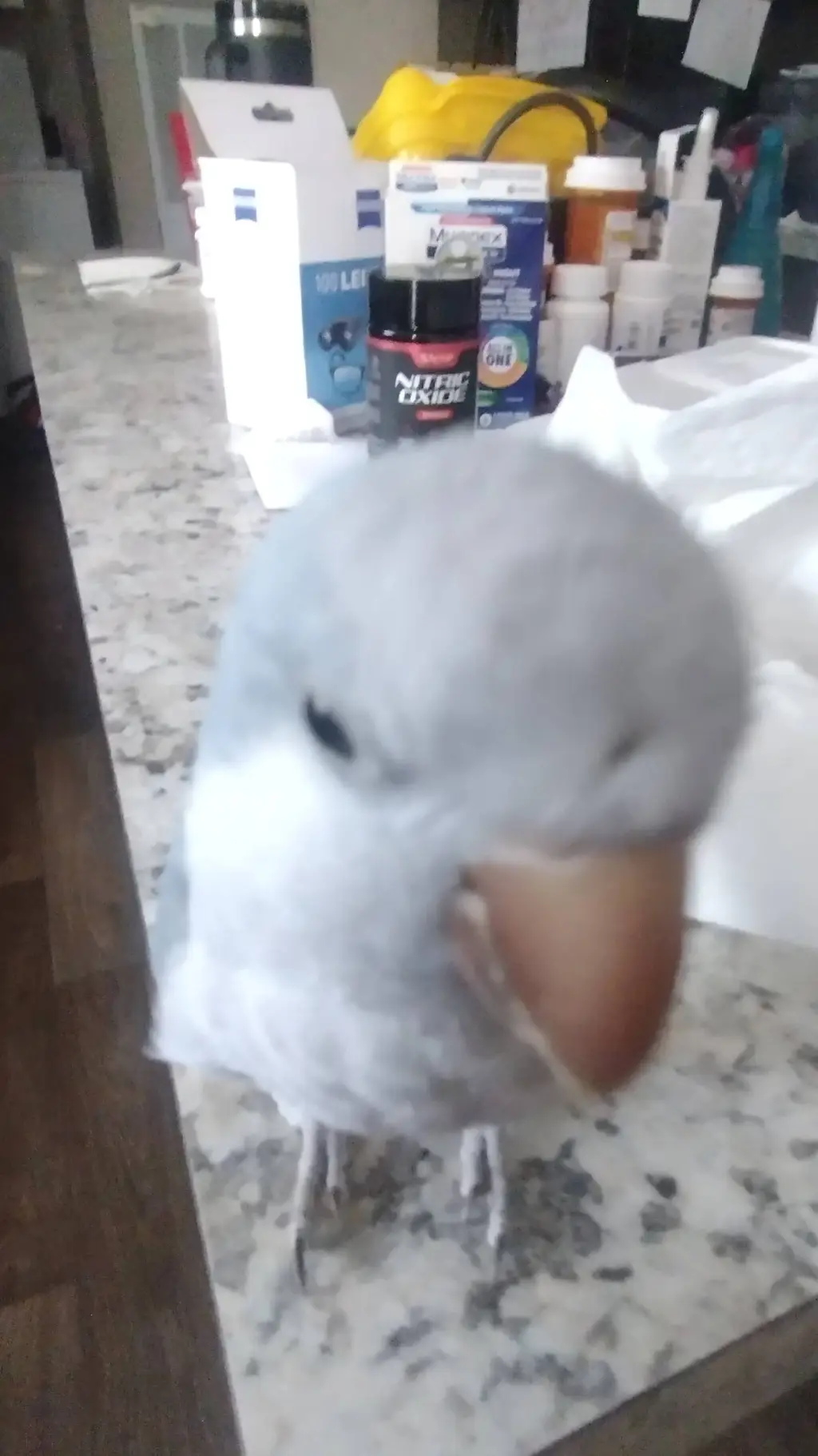 ai character: bird background