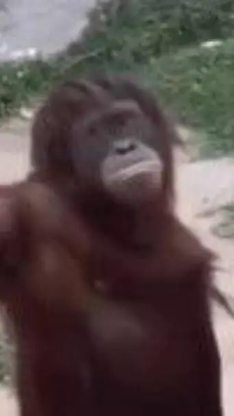 ai character: D.M.S period 7 background