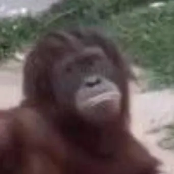 chat with ai character: D.M.S period 7