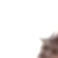 chat with ai character: Mark