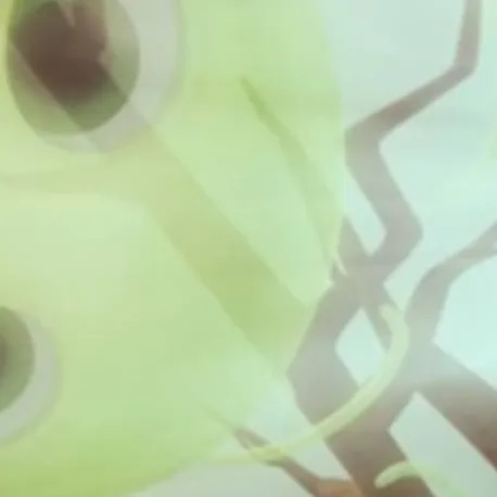 chat with ai character: Ghost Larva Mayfly