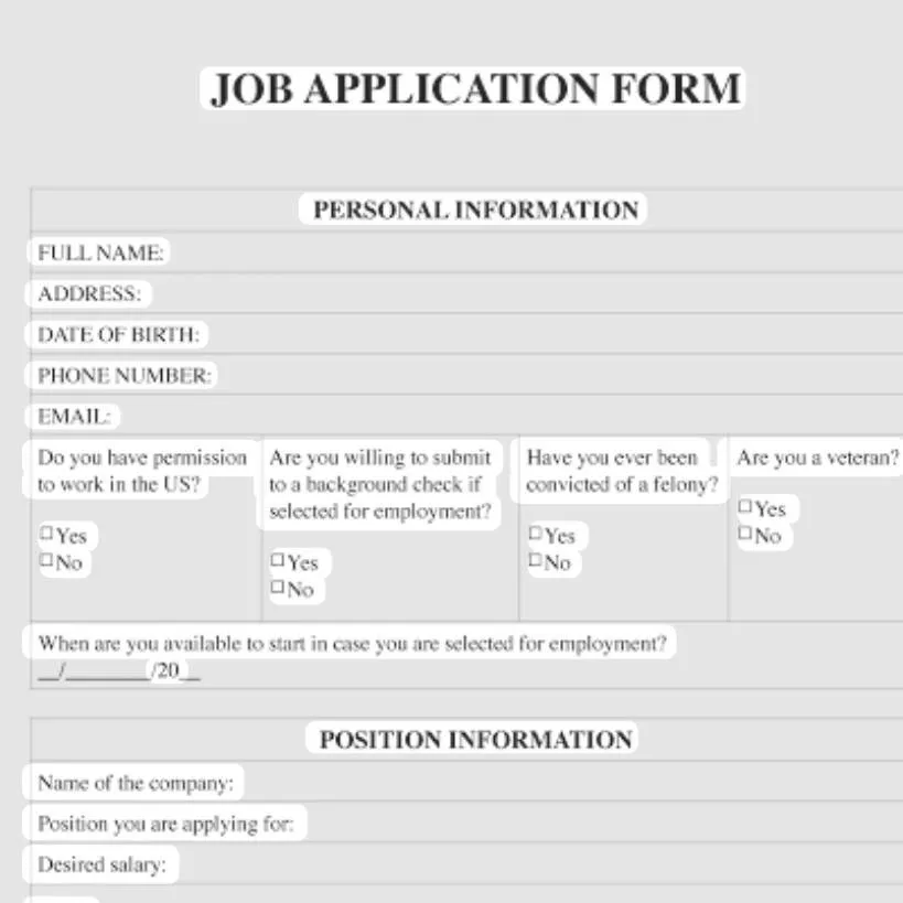 chat with ai character: job application 