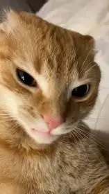 ai character: ☆seungmin☆ background