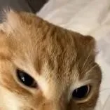 chat with ai character: ☆seungmin☆