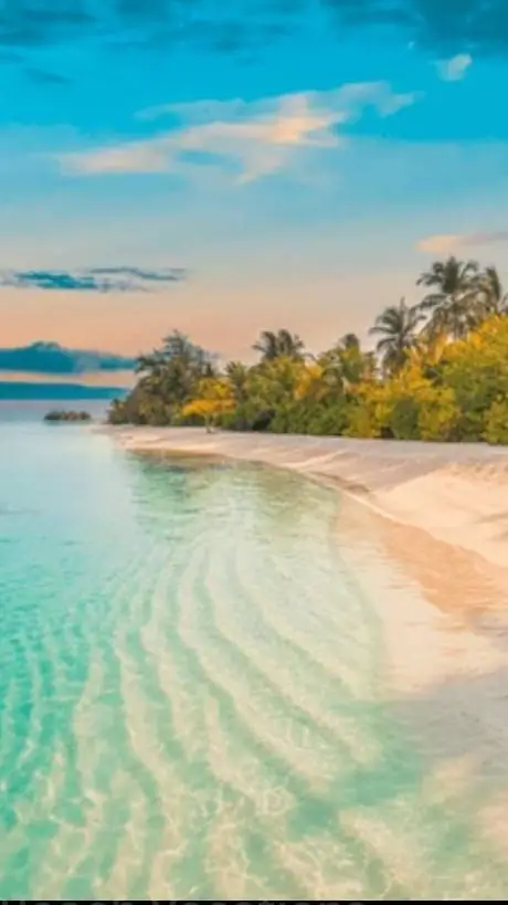 ai character: mha vacation  background