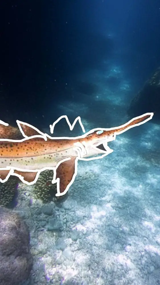ai character: scpanorhynchus  background