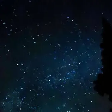 chat with ai character: ninja Fam