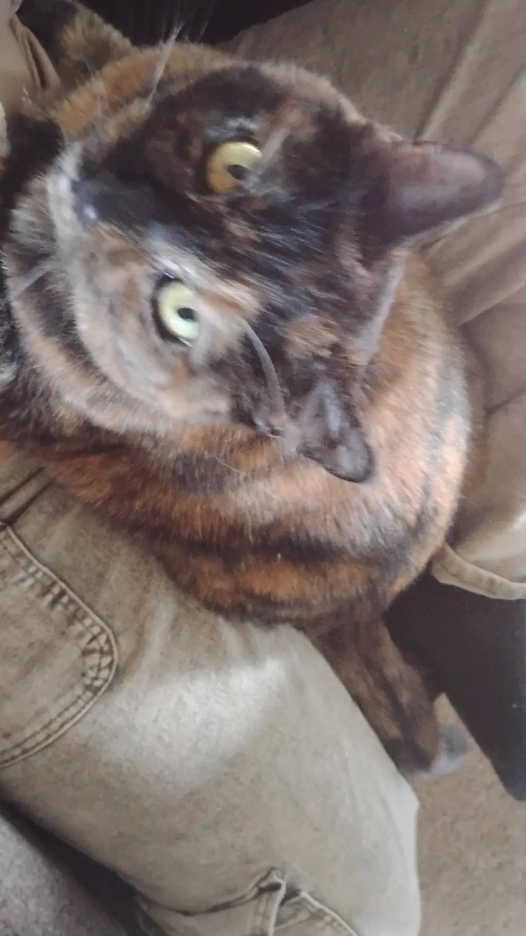 ai character: New kids background