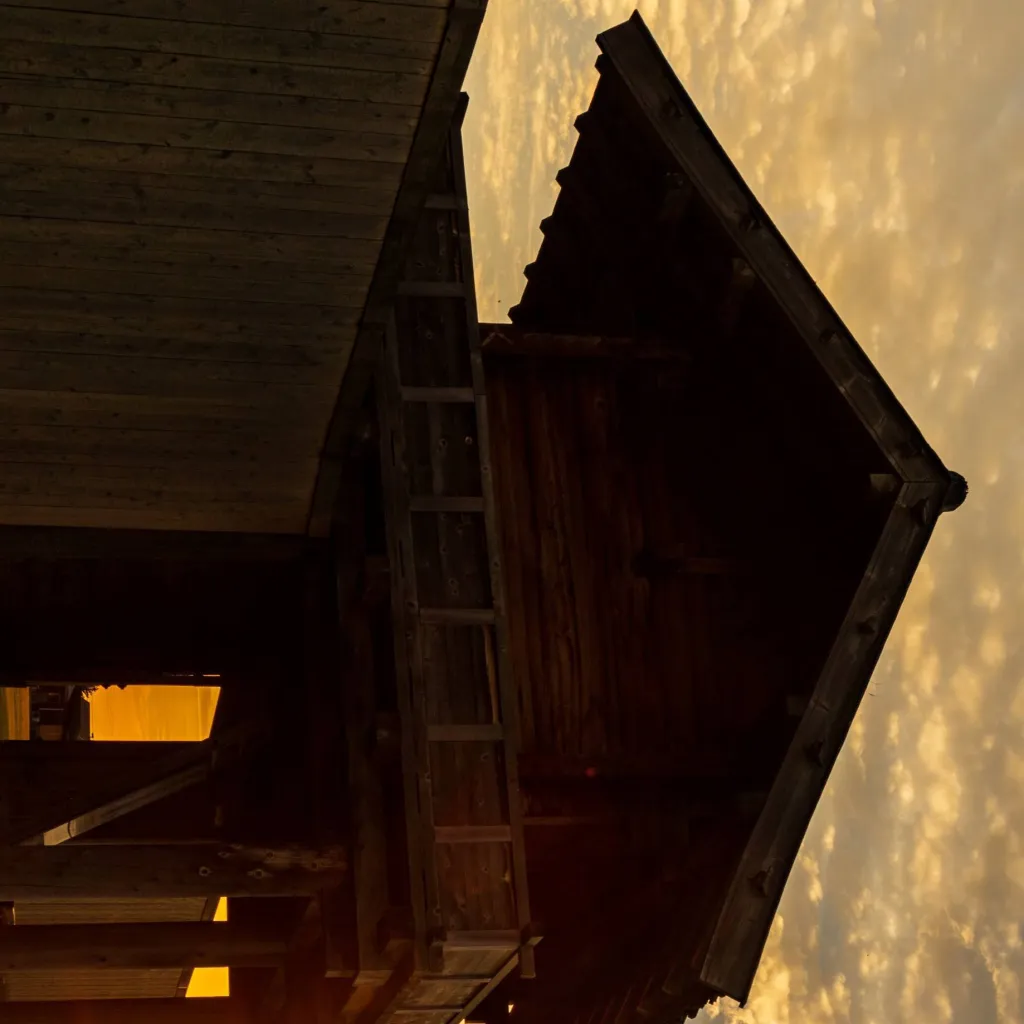 chat with ai character: Markipiler:OH MY G