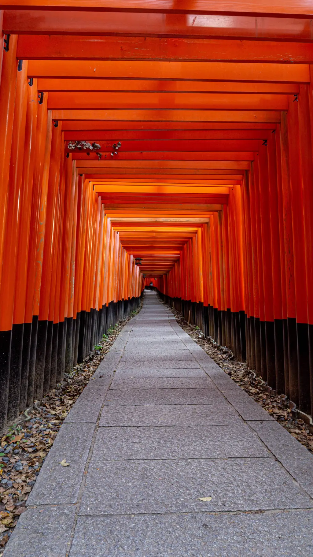 ai character: QUESTION GAME background