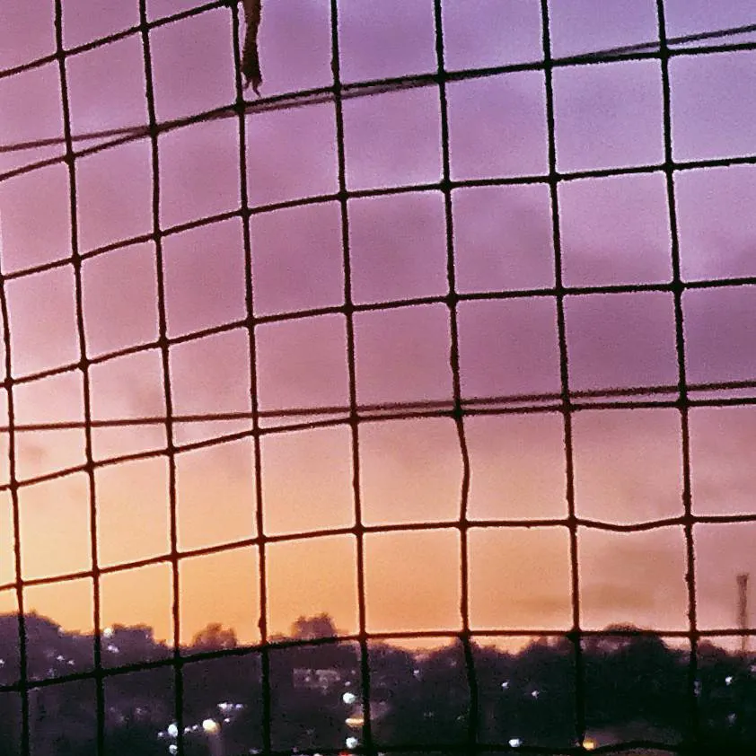 chat with ai character: SOY SAUCE ON PIZZA