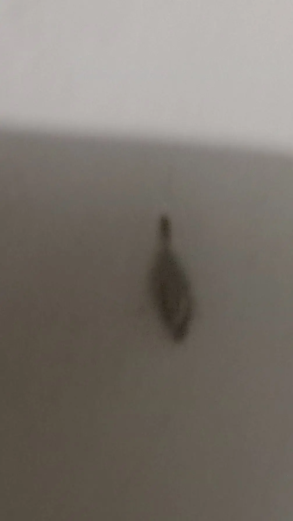 Talkie AI - Chat with bagworm on your wa