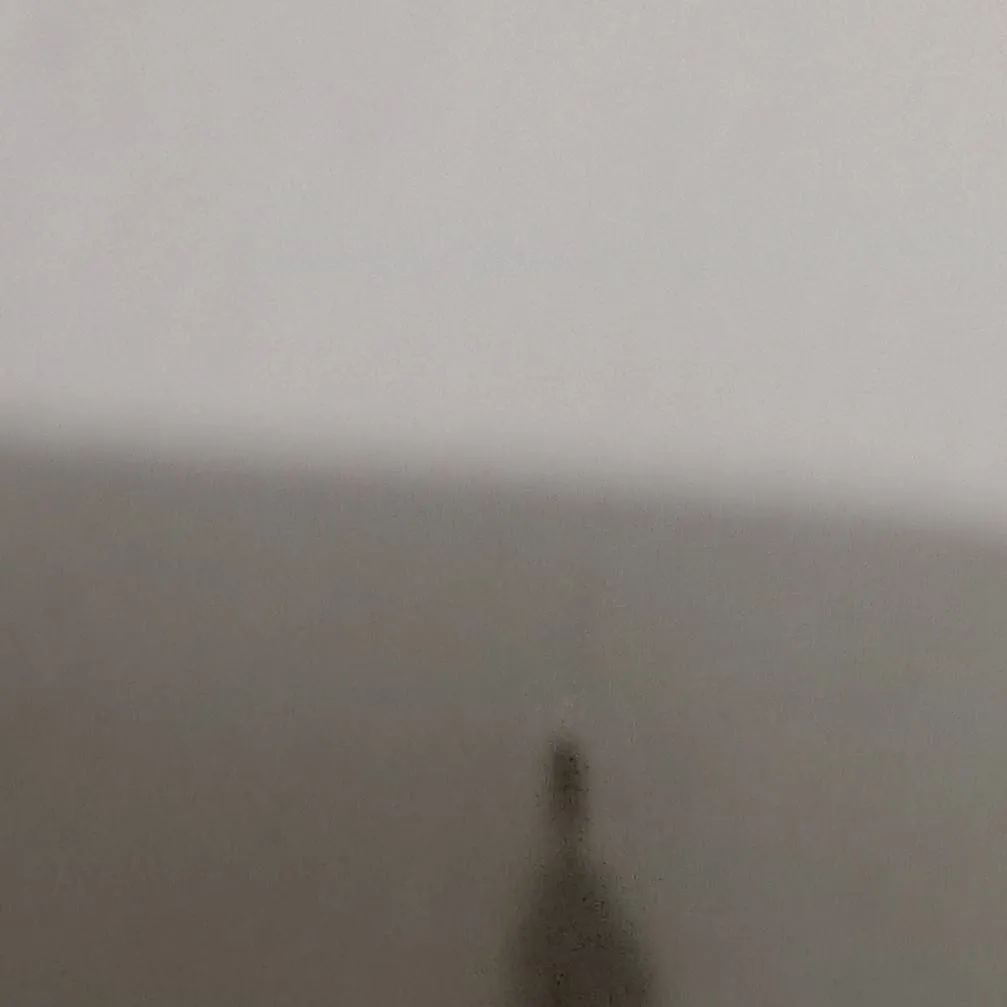 chat with ai character: bagworm on your wa