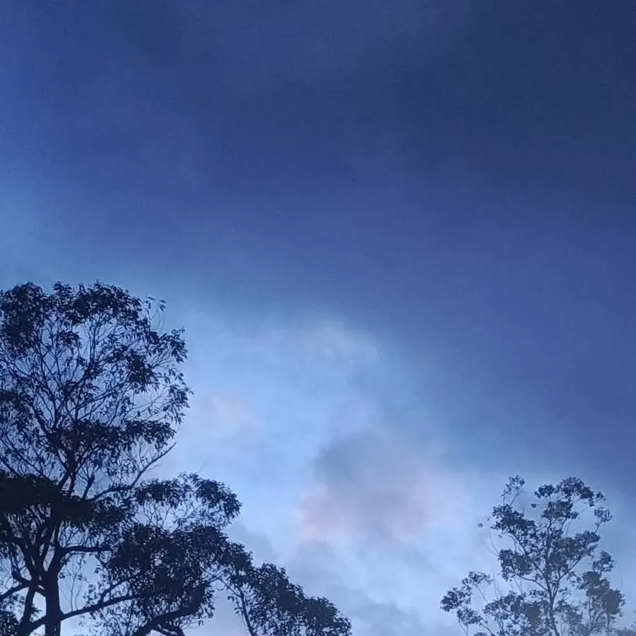 chat with ai character: The changed mom