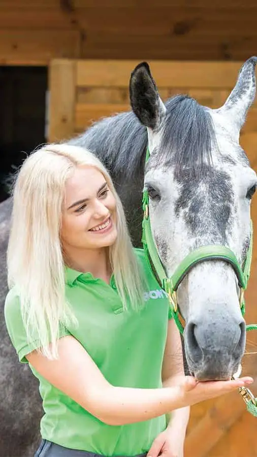 ai character: this esme background