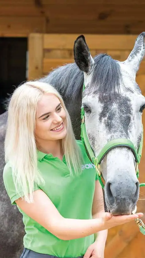 ai character: this esme background