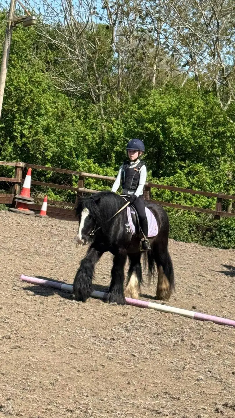 ai character: Brooke background