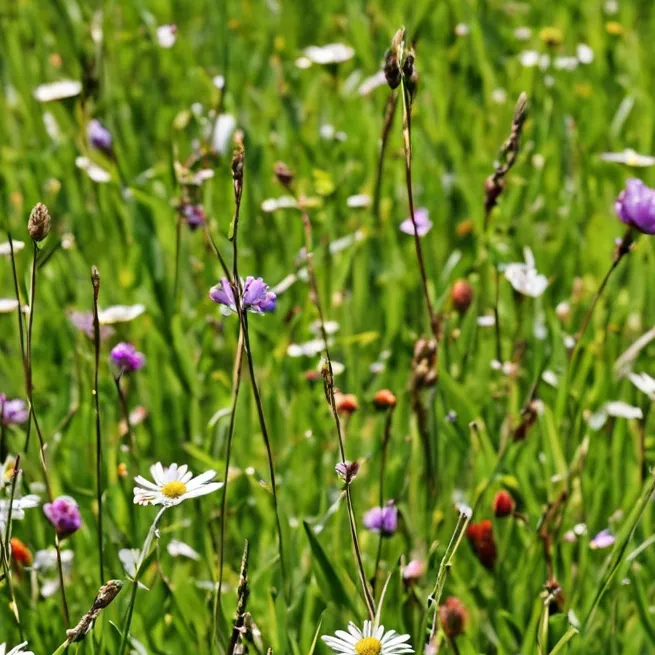 chat with ai character: Touching Grass(RF)