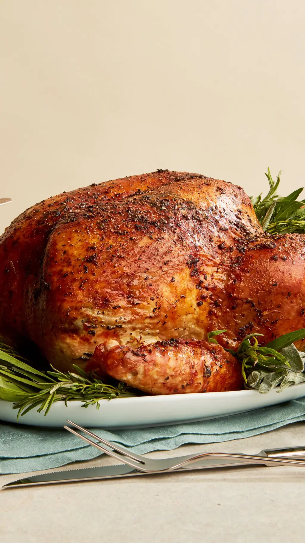 ai character: Happy Thanksgiving background