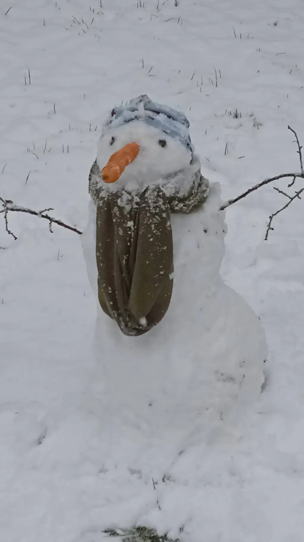 ai character: snow bro background