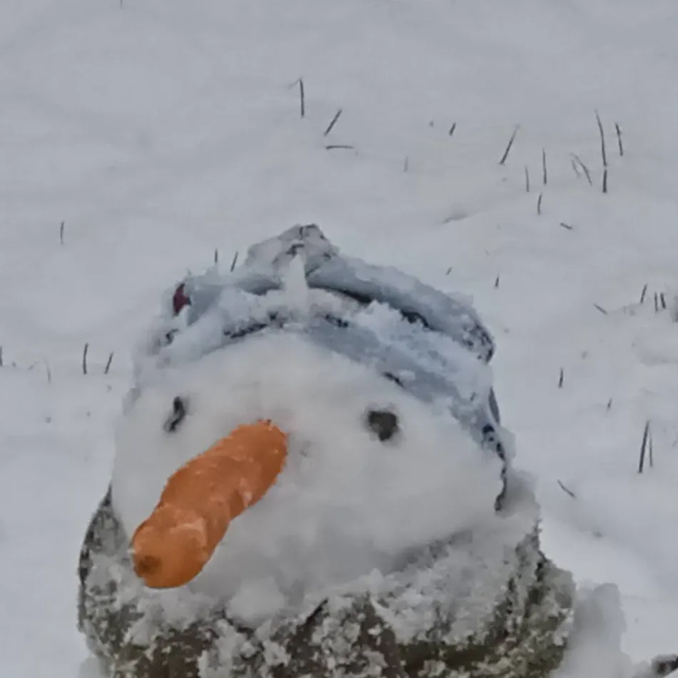 chat with ai character: snow bro