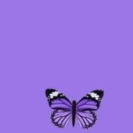 chat with ai character: Zixuan