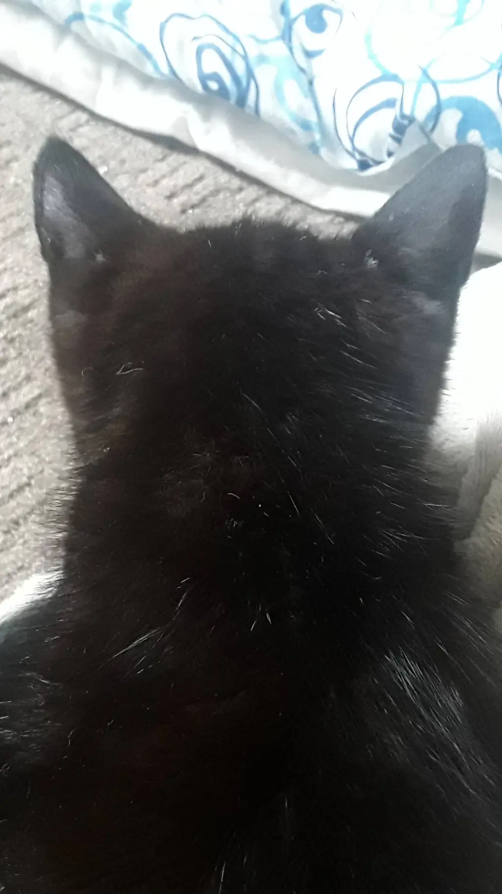 ai character: Marmite background