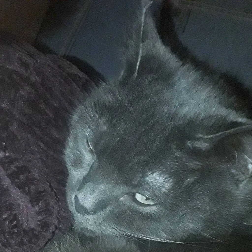 chat with ai character: Suggestions