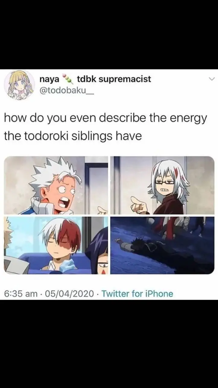 Talkie AI - Chat with Todoroki fam