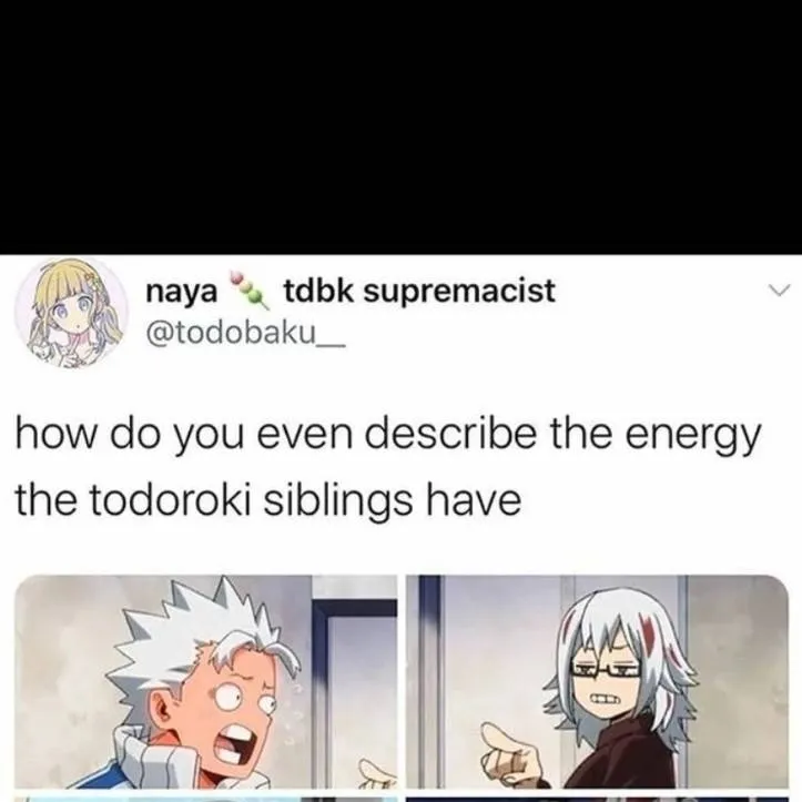 chat with ai character: Todoroki fam