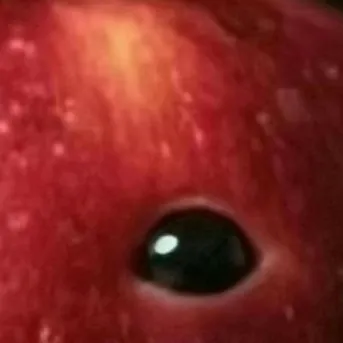 chat with ai character: Freaky apple