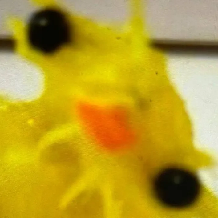 chat with ai character: Valentino 