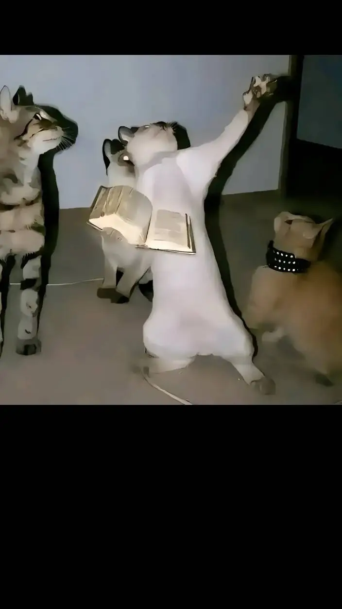 ai character: furries vs UN background