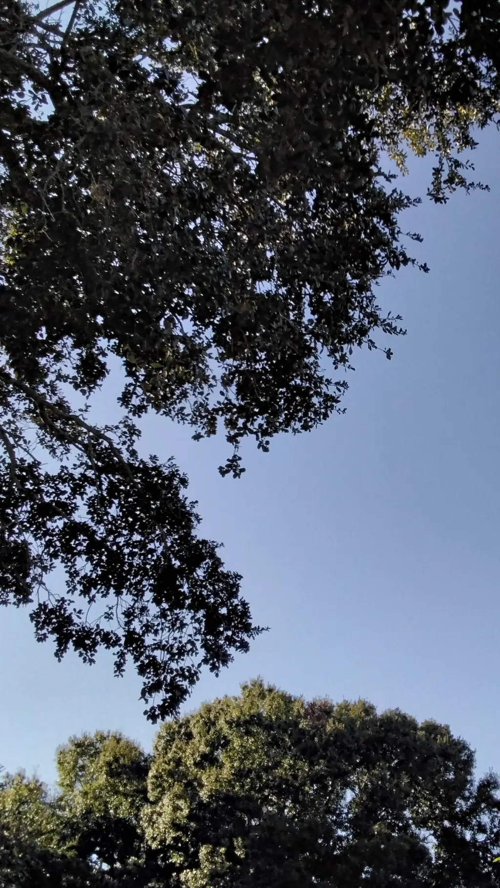 ai character: 4sk Road Trip(P.2) background