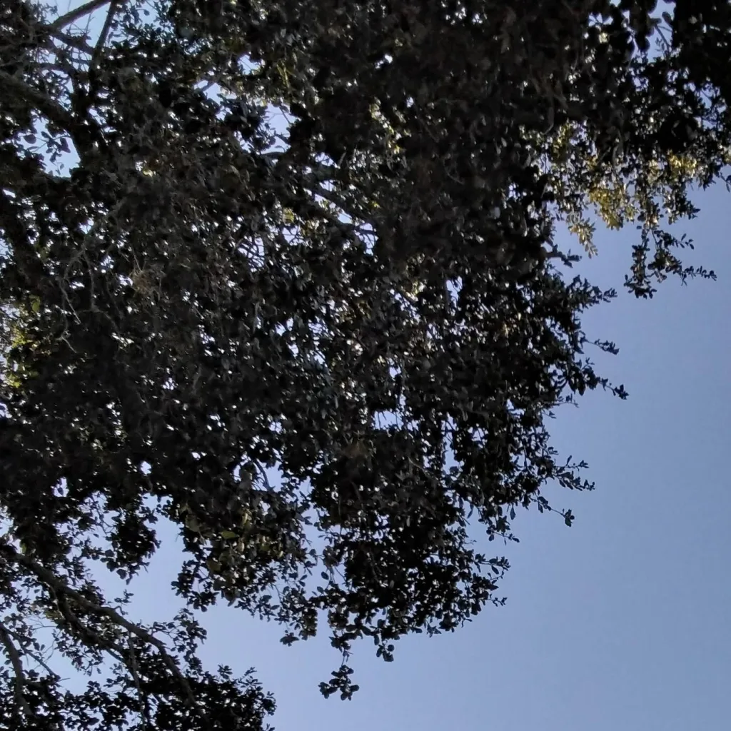 chat with ai character: 4sk Road Trip(P.2)