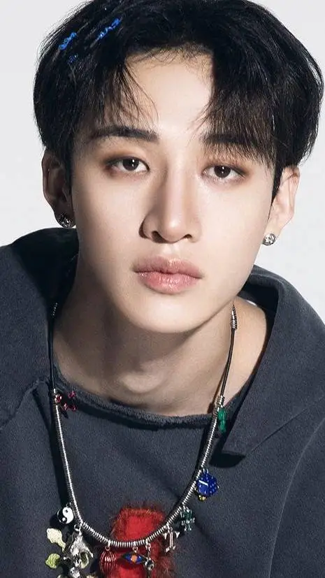ai character: bang Chan Parody background